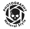 Photography Natural Style